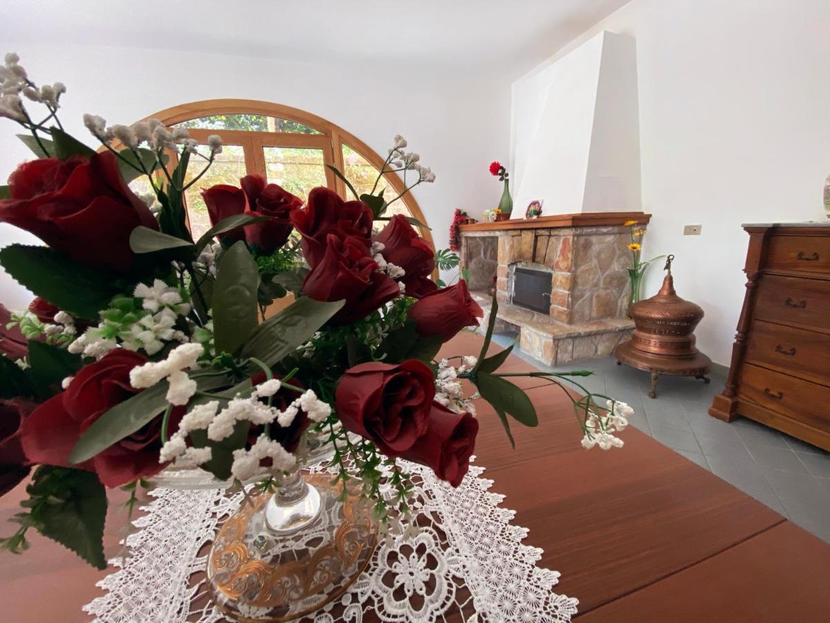 Achille Home B&B סורנטו מראה חיצוני תמונה