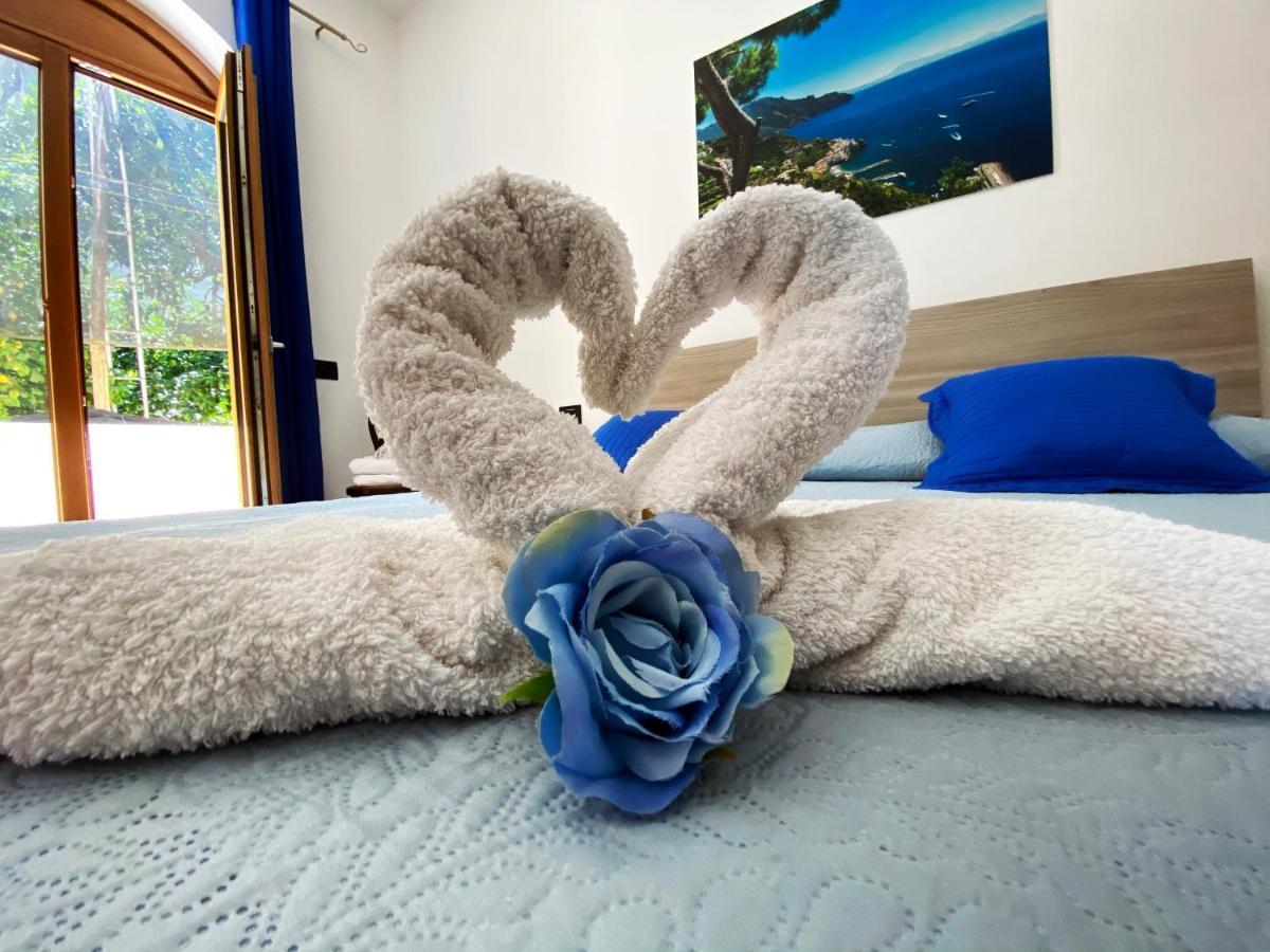Achille Home B&B סורנטו מראה חיצוני תמונה